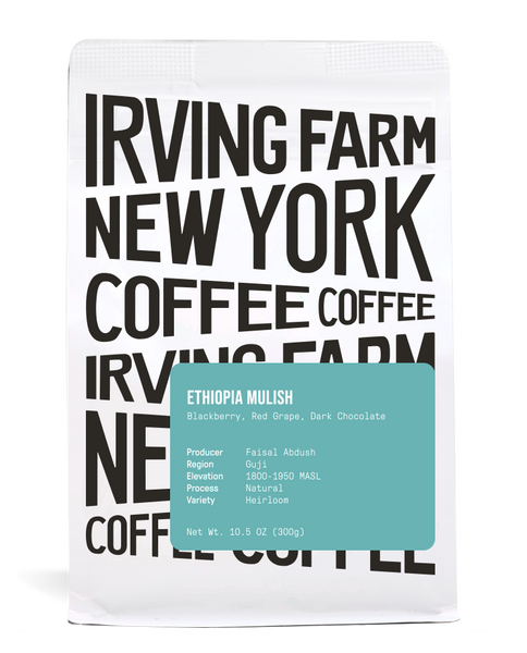 Ethiopia Mulish