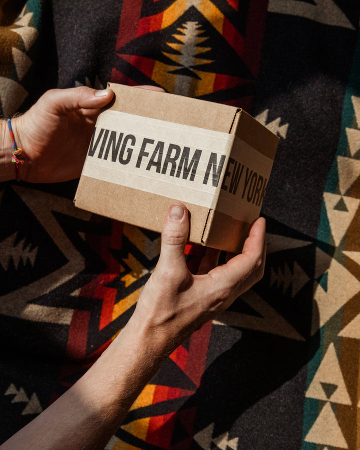 6 Month Gift Subscription - Irving Farm New York