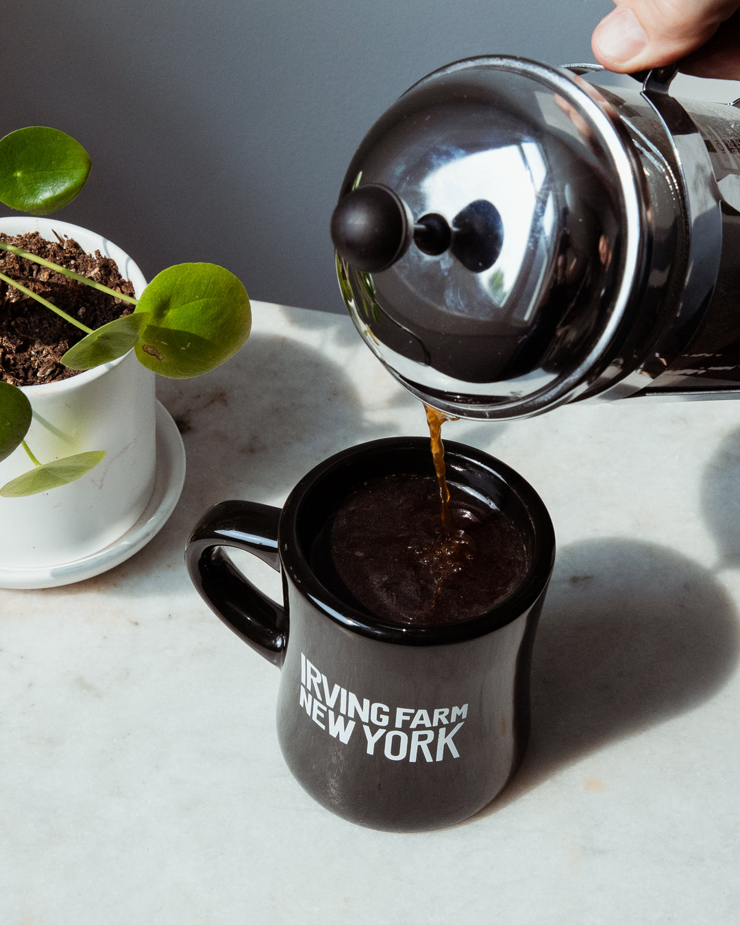 12 Month Gift Subscription - Irving Farm New York