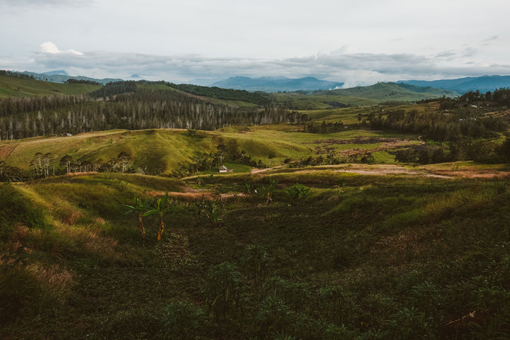 Lamari, Papua New Guinea