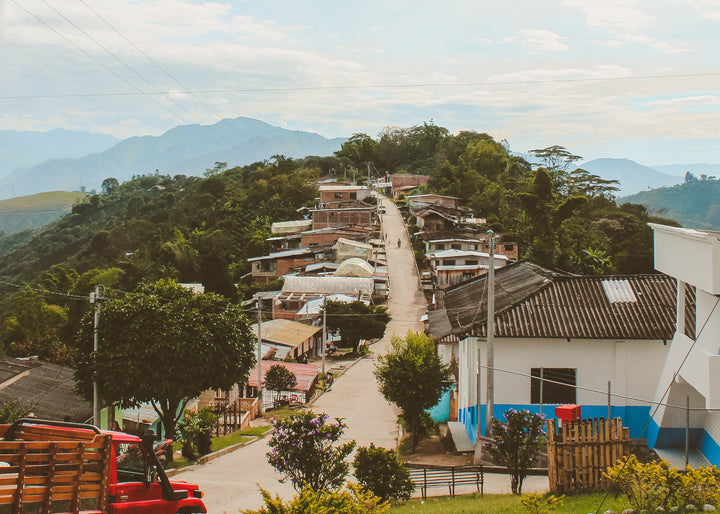 Casso Microlot, Colombia - Irving Farm New York