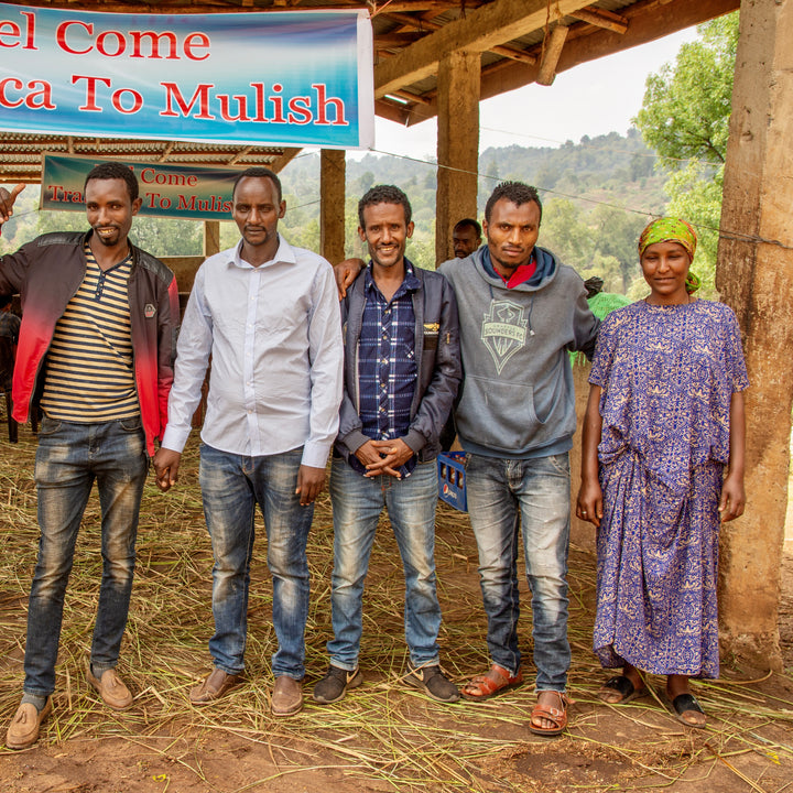 Ethiopia Mulish - Irving Farm New York