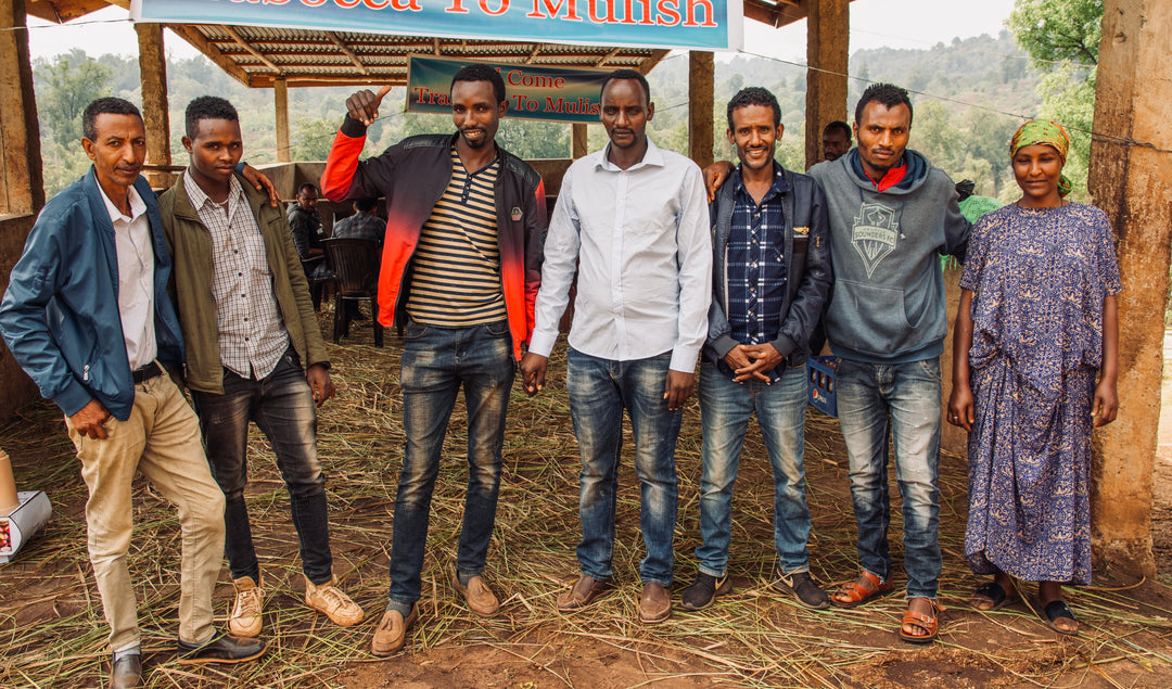 Ethiopia Mulish