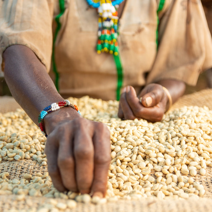 Ethiopia Mulish - Irving Farm New York