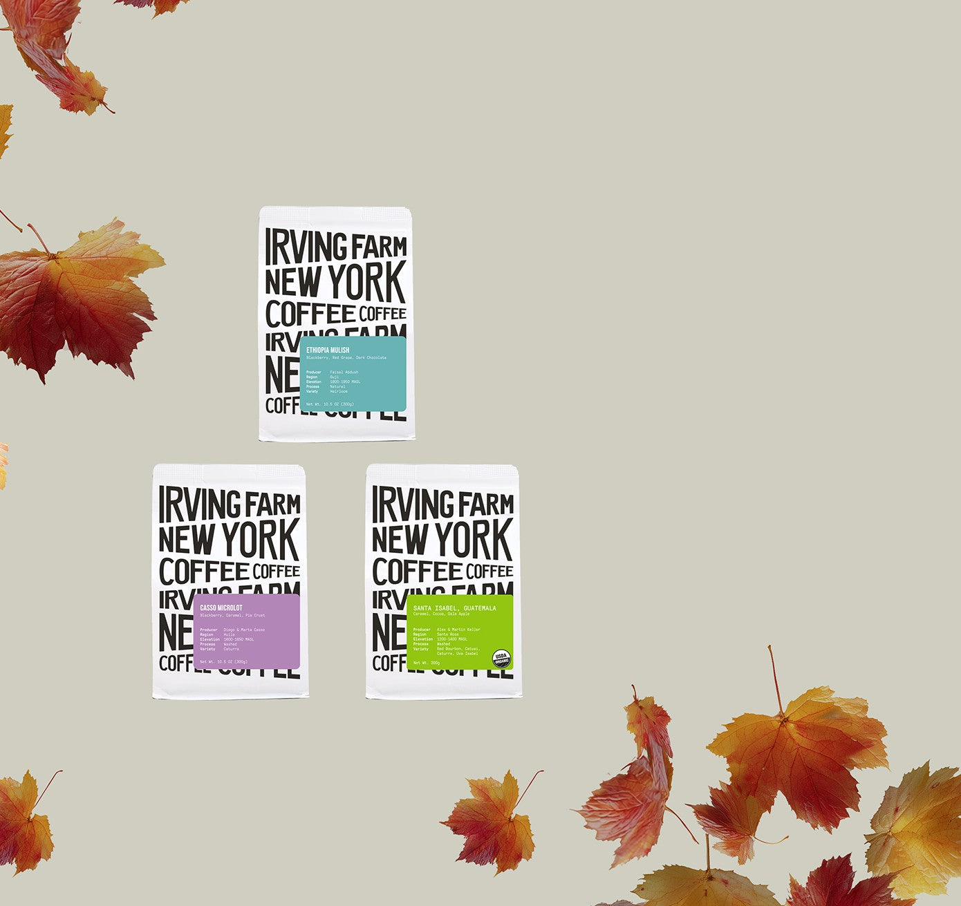 Hero Banner - FALL COFFEE BUNDLE