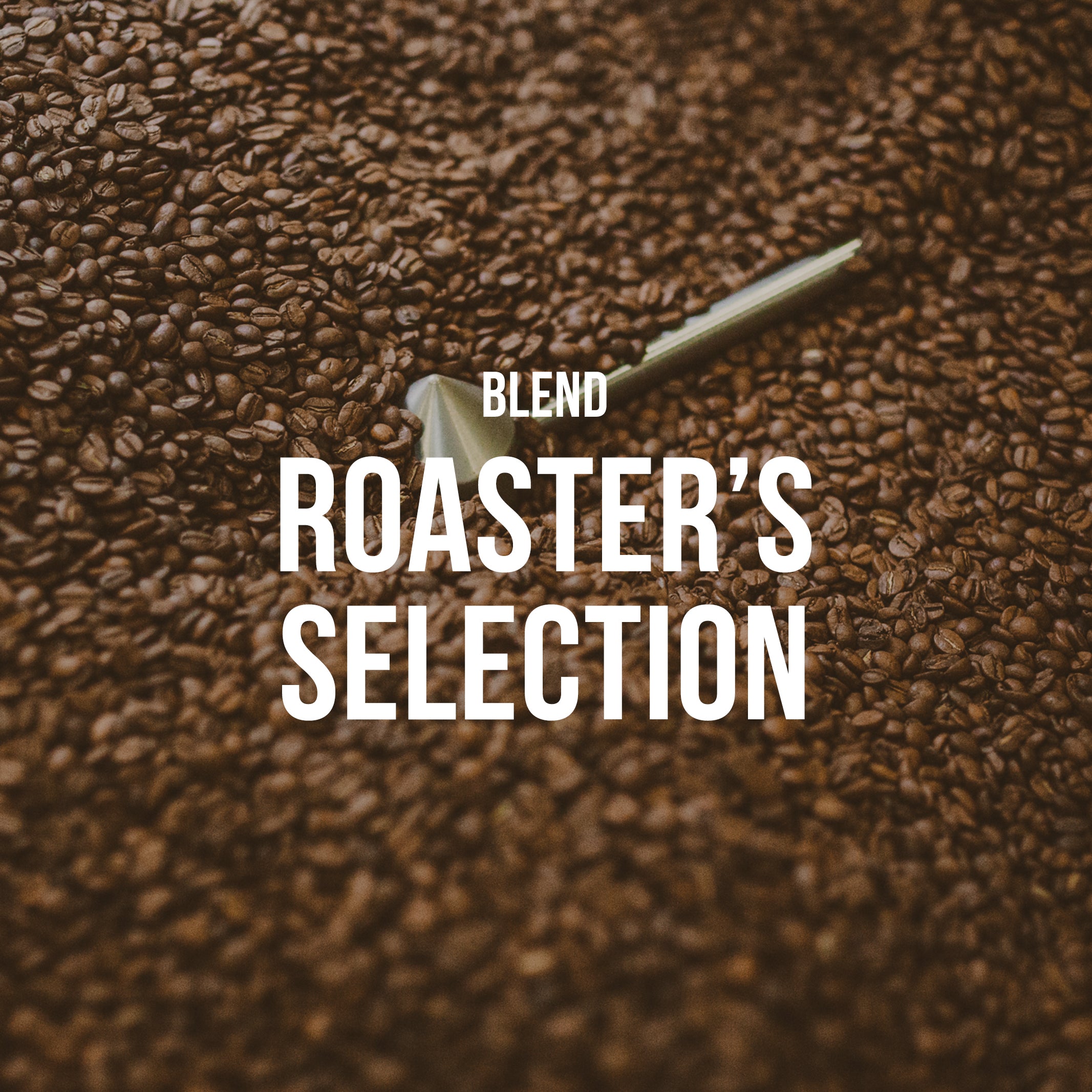 Roaster's Selection | Blend <br> 2 BAGS / BI WEEKLY  / 6 MONTHS - Irving Farm Coffee Roasters