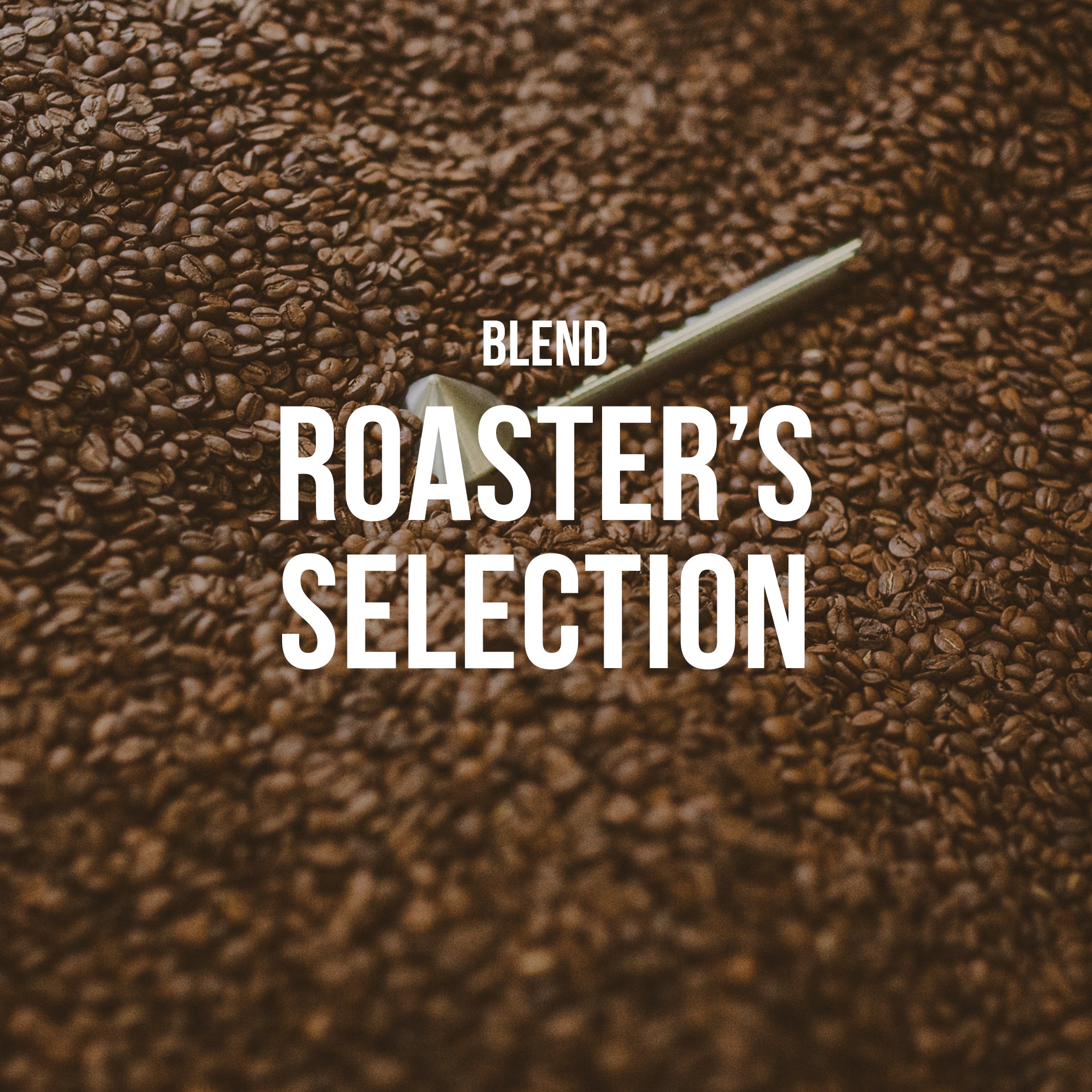 Roaster's Selection | Blend - Subscription Only - Irving Farm New York