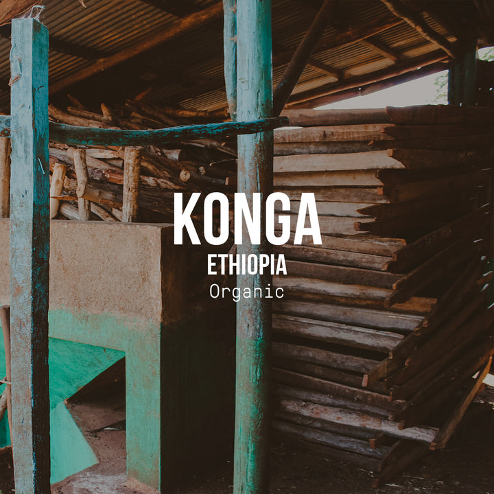 Konga, Ethiopia | Organic - Irving Farm New York