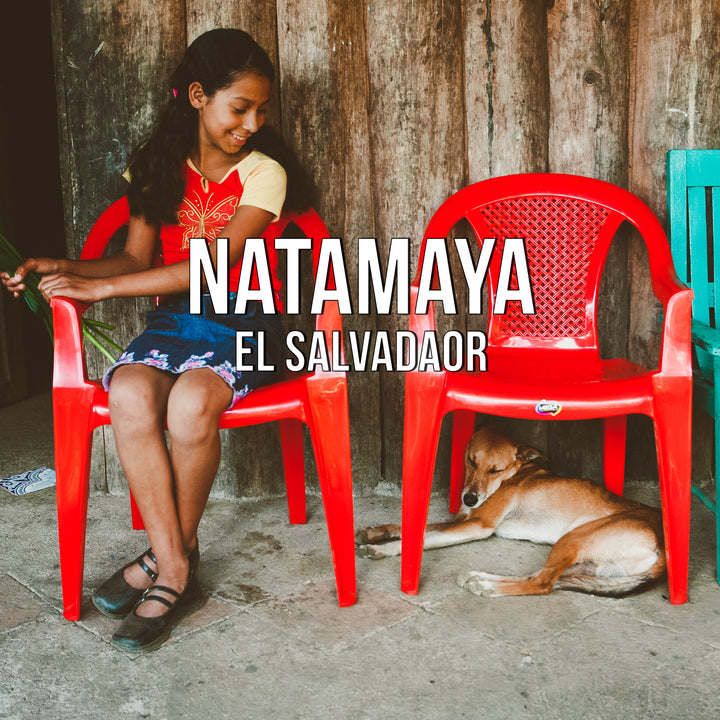 Natamaya, El Salvador - Irving Farm New York