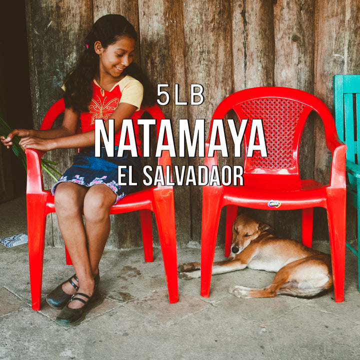 Bulk | Natamaya, El Salvador - Irving Farm New York