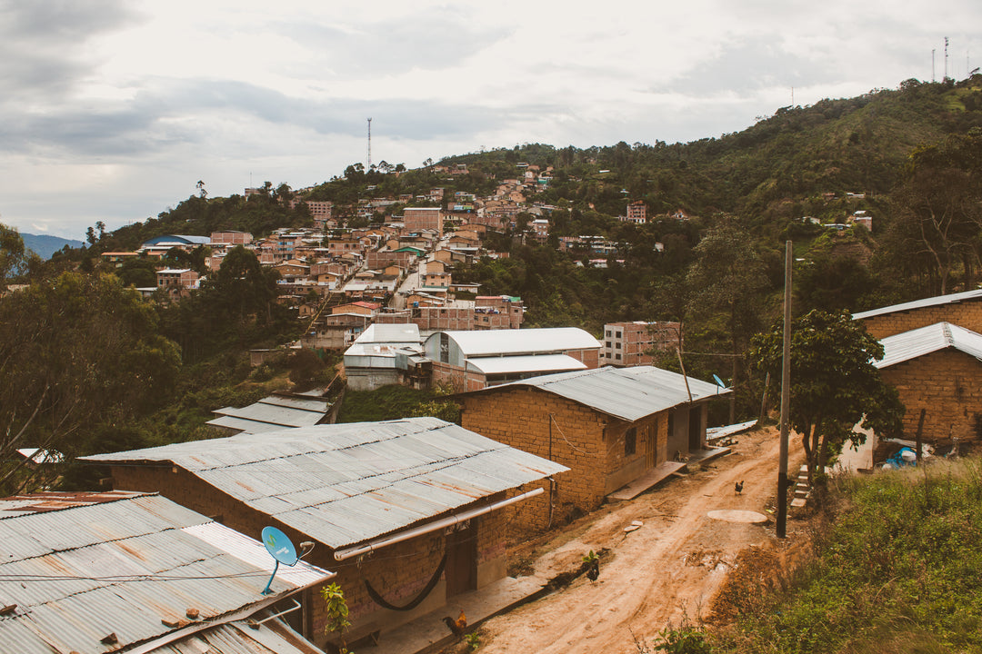 Los Alisos, Peru | Organic - Irving Farm Coffee Roasters