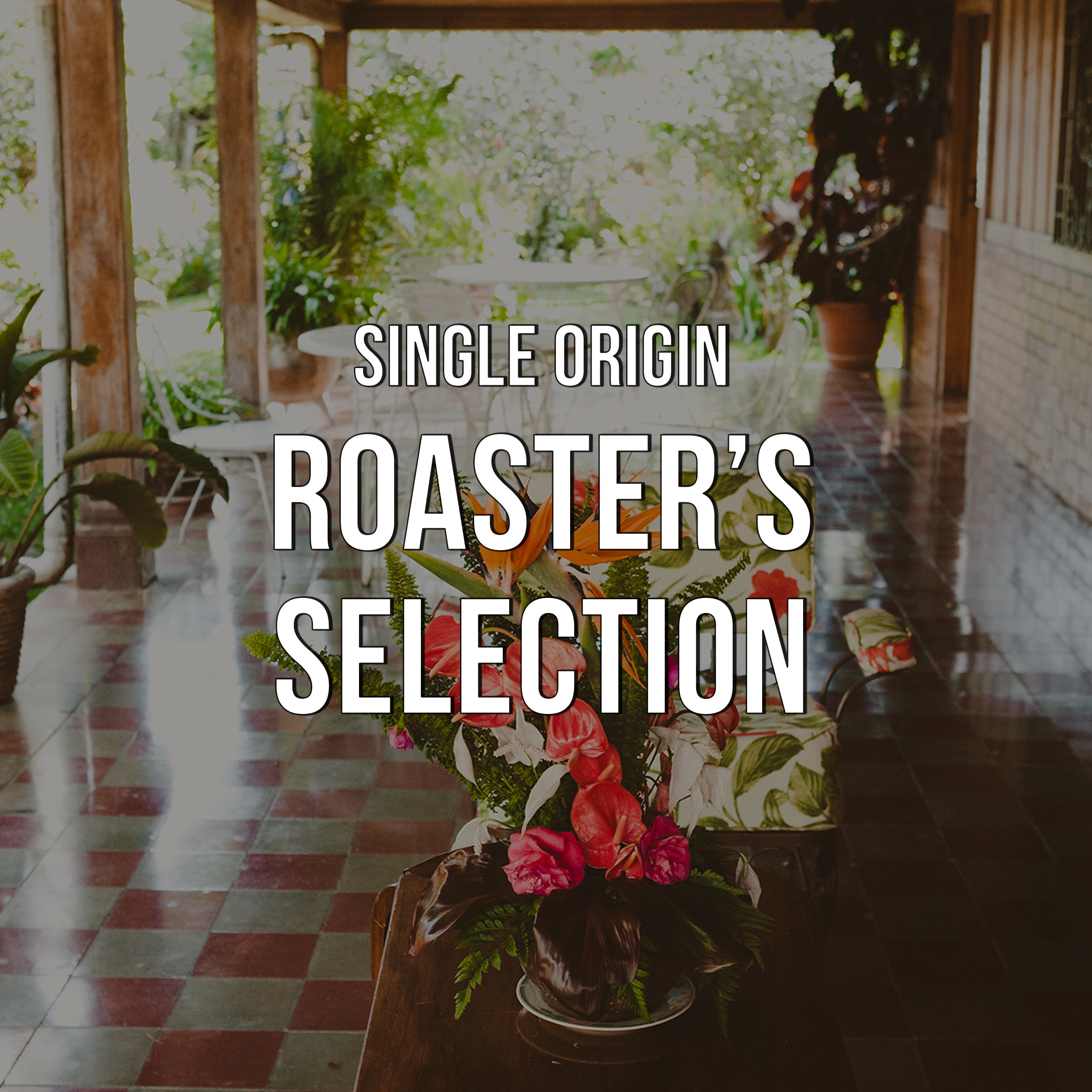 Roaster's Selection | Single Origin - Irving Farm New York