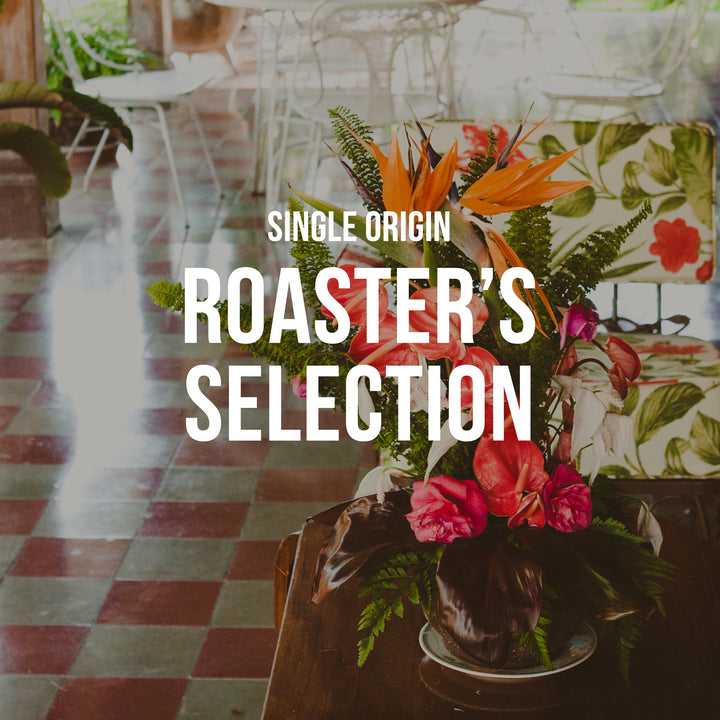 Roaster's Selection | Single Origin - Subscription Only - Irving Farm New York