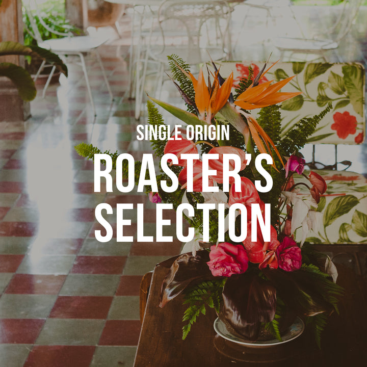 Roaster's Selection | Single Origin <br> 3 BAGS / BI WEEKLY / 12 MONTHS - Irving Farm Coffee Roasters